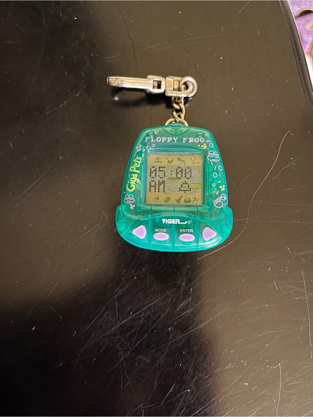 Vintage 1997 NIOP Working Giga Pets Floppy Frog Virtual Pet clip on-Tiger Elec - Picture 6 of 9